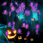 Halloween Dekoration Spinne String Lichter, Solar String Lichter, 30 LED Outdoor Dekorative Lichter für Halloween (Spinne)