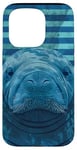 Coque pour iPhone 15 Pro Save The Manatee Crystal River FL Bleu abstrait rayé