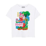 Sonic The Hedgehog Childrens/Kids Amy Short-Sleeved T-Shirt - 13-14 Years