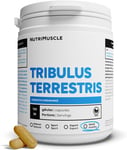 Tribulus Terrestris 100% Pur | Booster De Téstosterone • Performances Sportives