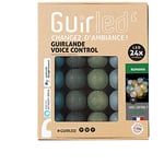 GuirLED - Guirlande lumineuse wifi boules coton LED USB - Commande Vocale - Maison connectée - Amazon Alexa & Google Assistant - Adaptateur secteur 2xUSB inclus - 24 boules 2.4 - Romania