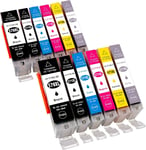 Merotoner Lot de 12 cartouches d'encre XL compatibles avec Canon Pixma MG7750 MG7751 MG7752 MG7753 TS8050 TS8051 TS8052 TS8053 TS9050 TS9055 Gris