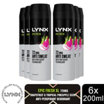 Lynx XL Anti-Perspirant 72-Hour Sweat Protection Deodorant 200ml, 6 Pack