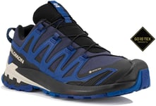 Salomon XA PRO 3D v9 Gore-Tex M Chaussures homme