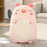 Ny 60cm Squishmallows Plyschdjur Kawaii Mjuk Stor Kudde-WELLNGS Pink pig