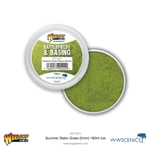 War World Scenics: Battlefields & Basing - Summer 2mm Static Grass (180mL)