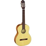 Ortega R121SN Classical Guitar (Slim Neck)