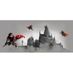 Poster géant horizontal Harry Potter sur son balais 170 x 75 cm