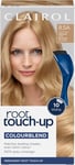 Clairol Root Touch-Up 1 count (Pack of 1), 8.5A Champagne Blonde Medium