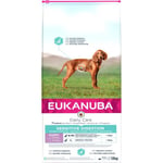 Eukanuba Daily Care Puppy Sensitive Digestion kana ja riisi, 12 kg