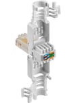 Tool-free RJ45 Plug - CAT 5E UTP