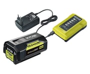 RYOBI Pack batterie et chargeur RY36BC60A-140 - 36V