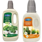 Fertiligène Engrais Plantes Vertes Tout Prêt, 1L & Engrais Cactus et Succulentes, 250 ML