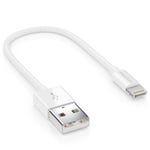 deleyCON 0,15m Lightning 8 Pin USB Câble de Charge & Données Certifié MFI et Compatible avec IPhone XR XS Max XS X 8 Plus 8 - Bla