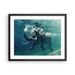 Affiche Poster 50x40cm Tableaux Image Photo éléphant animal eau Wall Art