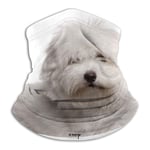 LAKILAN Chiot Coton De Tulear,4 Mois,Debout Devant Fond Blanc Echarpes Et Foulards,Couverture Faciale,Cache Nez,Écharpe De Visage,Polyvalent Cache-Col,Foulards De Randonnée