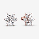 Pandora 'Herbarium Cluster' WoMens Gold Plated Metal Stud Earrings - Rose 282407C01 Gold Tone - One Size