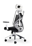 Office Hippo Ergonomic Mesh Office Chair, Desk Chair,Back & Head Support, Adjustable Ergonomic Swivel Chair with Tension Control, Computer Chair for Daily Use & People Upto 115kg, 5 Year Component Wty