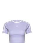 Adidas Originals 3 S Baby Tee Lila