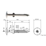 SKRUE SCR-WW 4,9X38 A2 BLANK