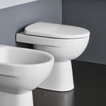 Tablette de siège de toilette cuvette de toilette blanche sanitaire de salle de