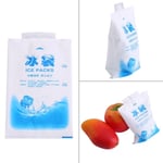 10pcs Reusable Ice Packs Gel Cooling Bag For Food Vegetable