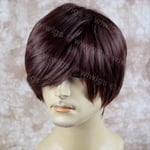 Wiwigs Classic Handsome Bangs Layered Dark Auburn Men's Full Wig