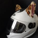 (1 pari korvia O) Luovat söpöt pehmoiset kissan korvat koristele moottoripyöräkypärä 1 pari motocross-kypärä koristetarra Tarvikkeet Cosplayer Styling