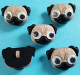 Google Eyed Pug Pugs Dog Puppy Doggy Pet Animal Face Dress It Up Craft Buttons