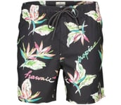 Hawaii Tropic Volley badshorts Herr BLACK XXL