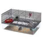 Ferplast Cage pour Hamsters FAVOLA, Petits rongeurs, Plastique Robuste et métal, Accessoires Inclus, 60 x 36.5 x 30 cm