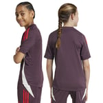 Adidas Fc Bayern Munich 24/25 Junior Training Short Sleeve T-shirt Purple 11-12 Years