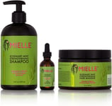 Mielle/Rosemary Mint Strengthening/Shampoo/Hair Masque/Scalp & Hair Oil Serum /