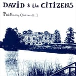 David &amp; The Citizens  Pink Evening (Send Me Off...)  CD