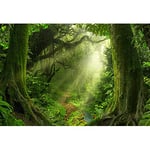 Aoihrraan 1,5x1m Printemps Enchanté Forêt Toile de Fond Jungle Forêt Tropicale Vieux Arbres Soleil Naturel Paysage Photographie Arrière-Plan Bébé Douche Anniversaire Fête Enfant Adulte Photo Prop