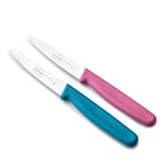 Lacor - 39080 - Couteaux de Cuisine Professionnels, Set Couteau Cuisine, Set 2 Pièces, Couteau d’Office, Dentelle Lisse, Acier Inoxydable, Série Etern, Lame 9 cm, Bleu et Magenta