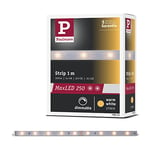 Paulmann 79853 Ruban LED MaxLED 250 1 m Blanc Chaud IP20 avec 1 Bande Lumineuse 4 W 2700 K, Plastique, argenté