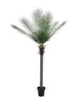 Phoenix palm deluxe, artificial plant, 220cm