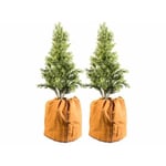 2 housses d?hivernage pour pot 50 x 45 cm