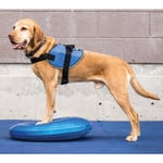 Fitpaws - Disque d'équilibre pour animaux de compagnie 36 cm Bleu n/a