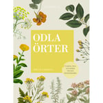 Odla örter : planera, odla och skörda din egen kryddträdgård (bok, kartonnage)