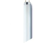 OSRAM L 36 W/830 Fluorescent Bulb