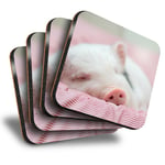 Set of 4 Square Coasters - Sleeping Pink Piglet Animal Farm Pet  #46309