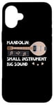 iPhone 16 Plus Mandolin Small Instrument Big Sound Mandolin Player Musician Case