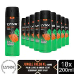 Lynx XL 48-Hour High Definition Fragrance Body Spray Deodorant 18 Pack, 200ml