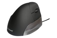 Evoluent VerticalMouse VMS Standart - vertikal mus - USB