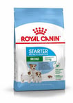 Royal Canin Mini Starter Mother&Babydog kuivaruoka enintään 2 kk:n ikäisille pennuille ja imettäville nartuille pienille roduille 1kg