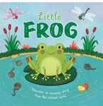 Little Frog (An illustrated story about the life-cycle of a frog)