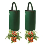 Pri Gardens Upside Down Tomato Planter, 2- Pack(Requires Plants,Soil and Fertilizer, not Included)