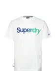 Superdry Core Logo Loose Tee Vit